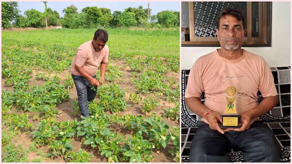 jitendra-patel-a-farmer-from-kanesara-village-in-siddhapur-taluka-adopted-natural-farming-595273