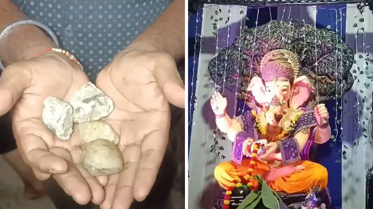 ganesh-utsav-vadodara-2025-stone-pelting-near-ganesh-pandal-in-diwalipura-area-595232