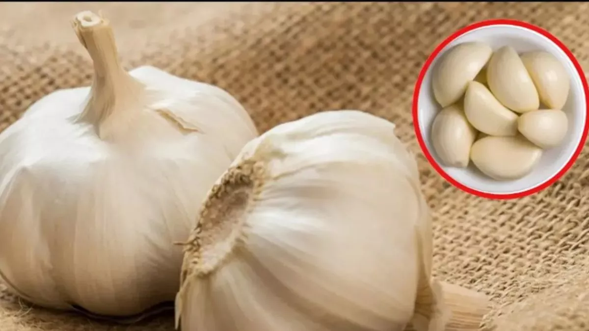5-health-benefits-of-eating-garlic-on-empty-stomach-596185