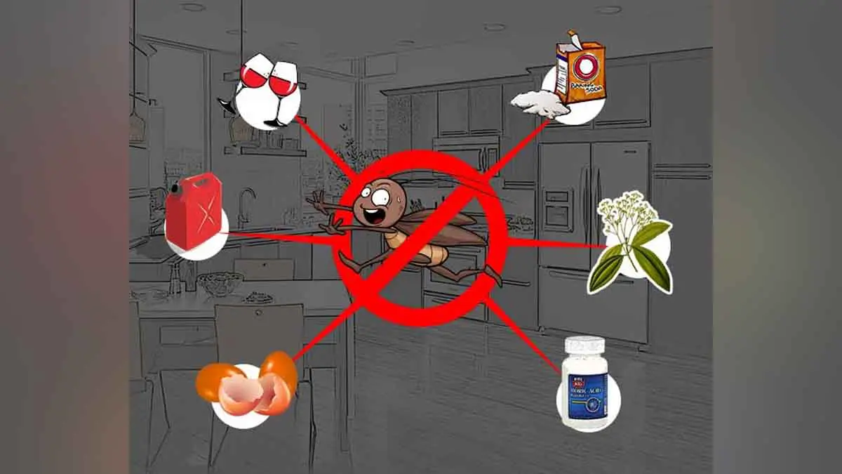 get-rid-of-cockroaches-while-mopping-with-clove-2-ingredients-596092