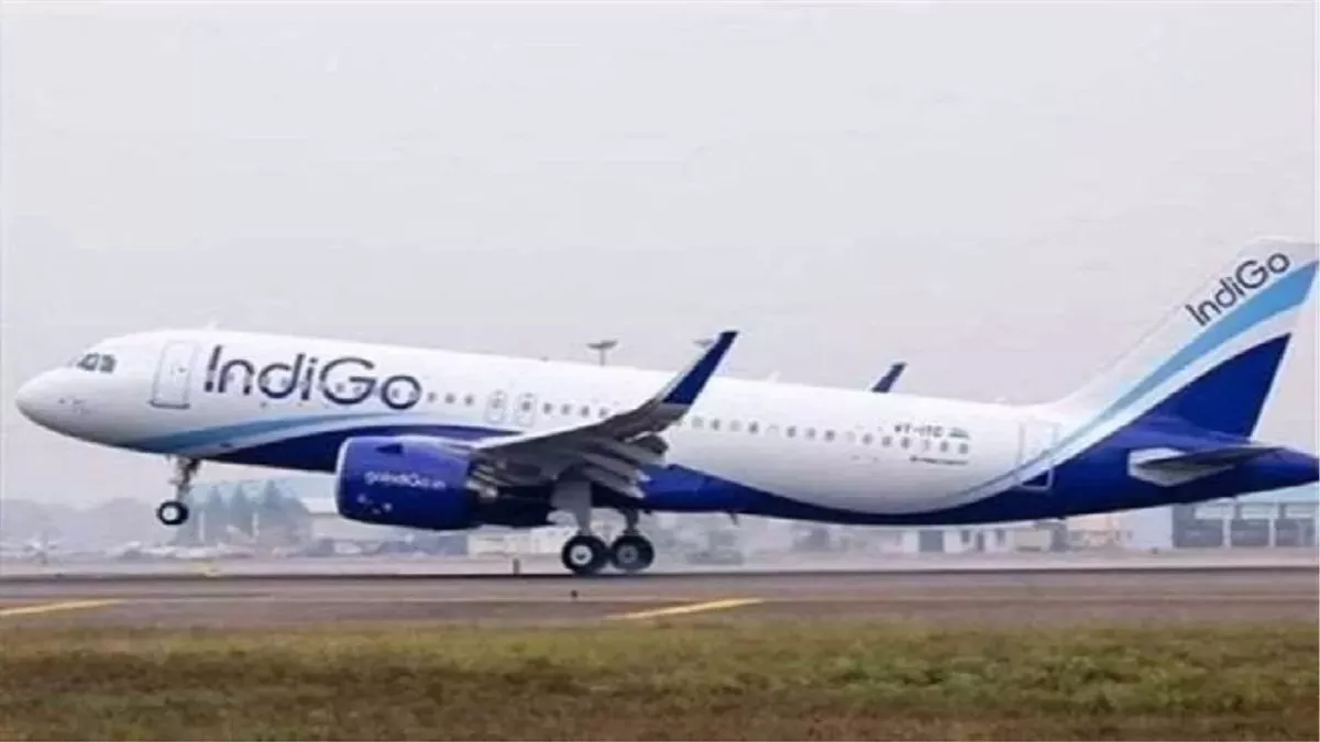 nagpur-kolkata-indigo-flight-returns-due-to-bird-hit-595996