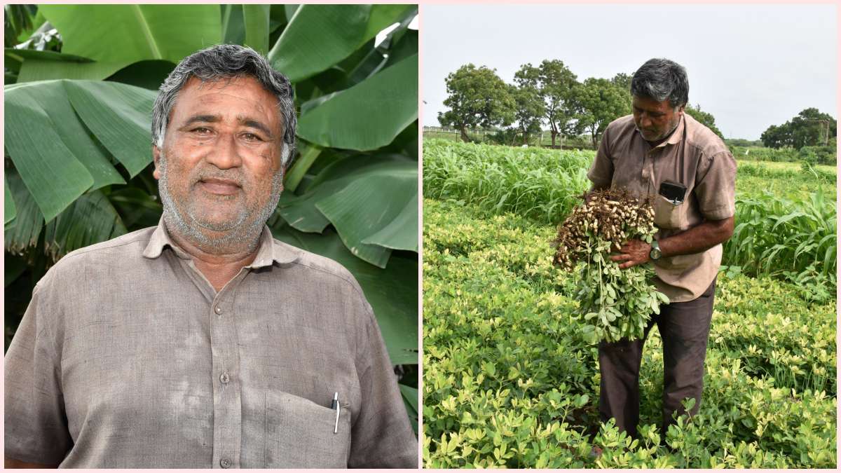 agriculture-news-farmers-from-khimlia-village-in-jamnagar-adopt-natural-farming-through-digital-means-597367