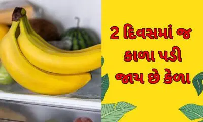 Kitchen Hacks: કેળાને ફ્રિજમાં રાખવાનો યોગ્ય સમય અને રીત જાણી લો, લાંબા સમય સુધી રહેશે એકદમ ફ્રેશ