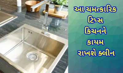 Kitchen Sink Cleaning Tips: માત્ર મિનિટોમાં ચમકાવો ચિકણું અને ગંદુ કિચન સિંક, જિદ્દી ડાઘ પણ પળમાં દૂર થશે