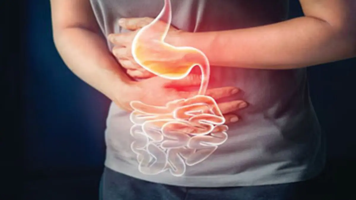Stomach Cancer Symptoms: ખૂબ જ સાધારણ લાગે છે પેટના કેન્સરના આ લક્ષણ, નજરઅંદાજ કરવાથી ખૂબ ઝડપથી વધી શકે છે બીમારી