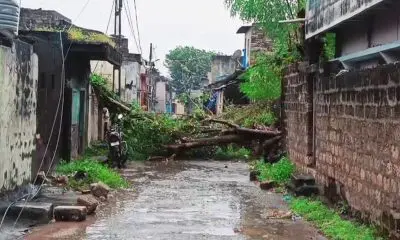 વાપી-વલસાડમાં આંધી-વંટોળ સાથે વરસાદ, ઠેર-ઠેર વૃક્ષો અને વીજપૉલ ધરાશાયી; વીજળી પડતાં બે મહિલાના મોત
