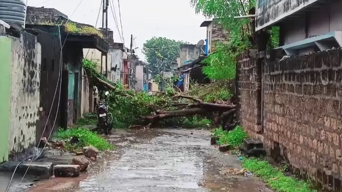 valsad-news-unseasonal-rain-vapi-2-women-dead-due-to-lighting-strike-621931