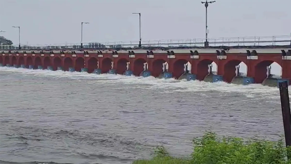 vadodara-rain-vishwamitri-river-in-vadodara-rises-by-6-feet-in-24-hours-water-level-reaches-18-60-feet-city-in-danger-of-flooding-598489