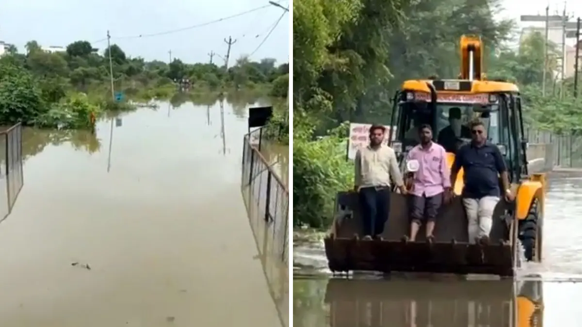 vadodara-rains-cause-surge-in-vishwamitri-river-flood-like-situation-in-koteshwar-leaves-4000-5000-people-out-of-contact-598448