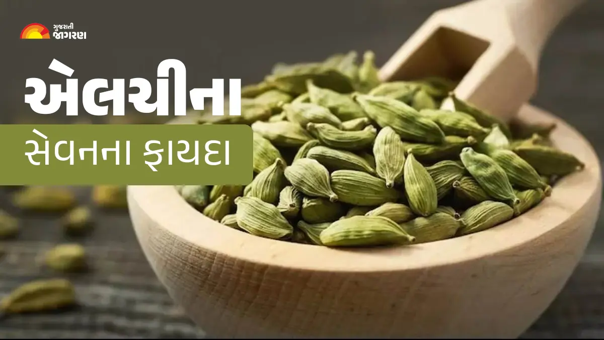 why-you-should-eat-cardamom-elaichi-before-sleeping-596149