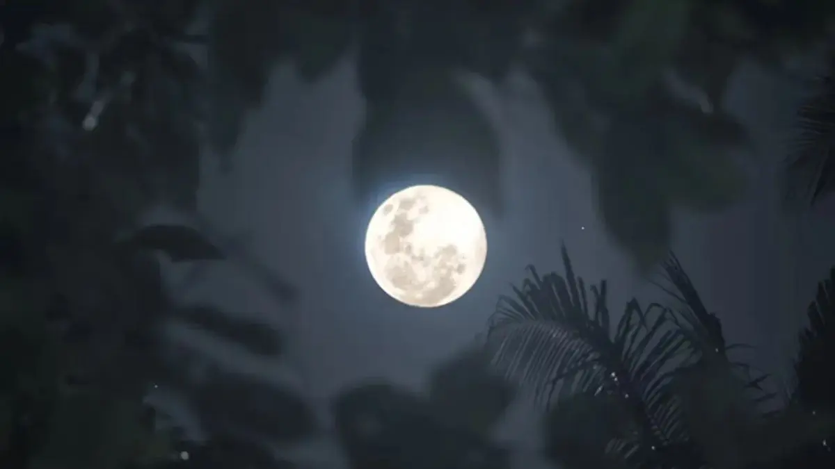 do-not-do-these-5-things-even-by-mistake-on-the-night-of-the-full-moon-it-can-anger-goddess-lakshmi-forever-597638