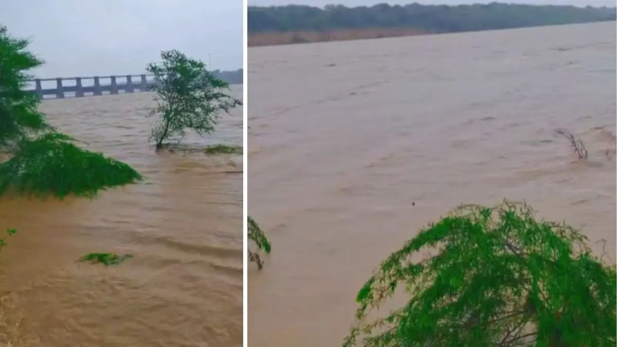 heavy-rains-in-gandhinagar-92-people-evacuated-from-dantaliwas-and-harsoli-598989