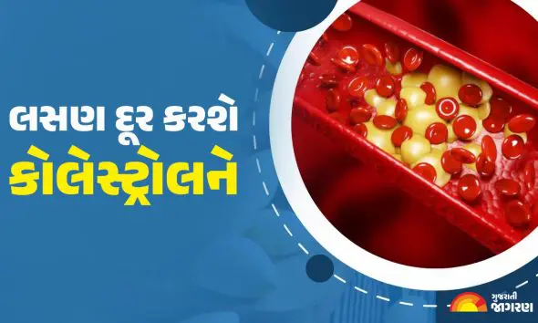 Garlic For Cholesterol: શું સવારે ખાલી પેટે લસણ ખાવાથી ખરેખર કોલેસ્ટ્રોલ ઘટે છે? જાણો વૈજ્ઞાનિક સત્ય