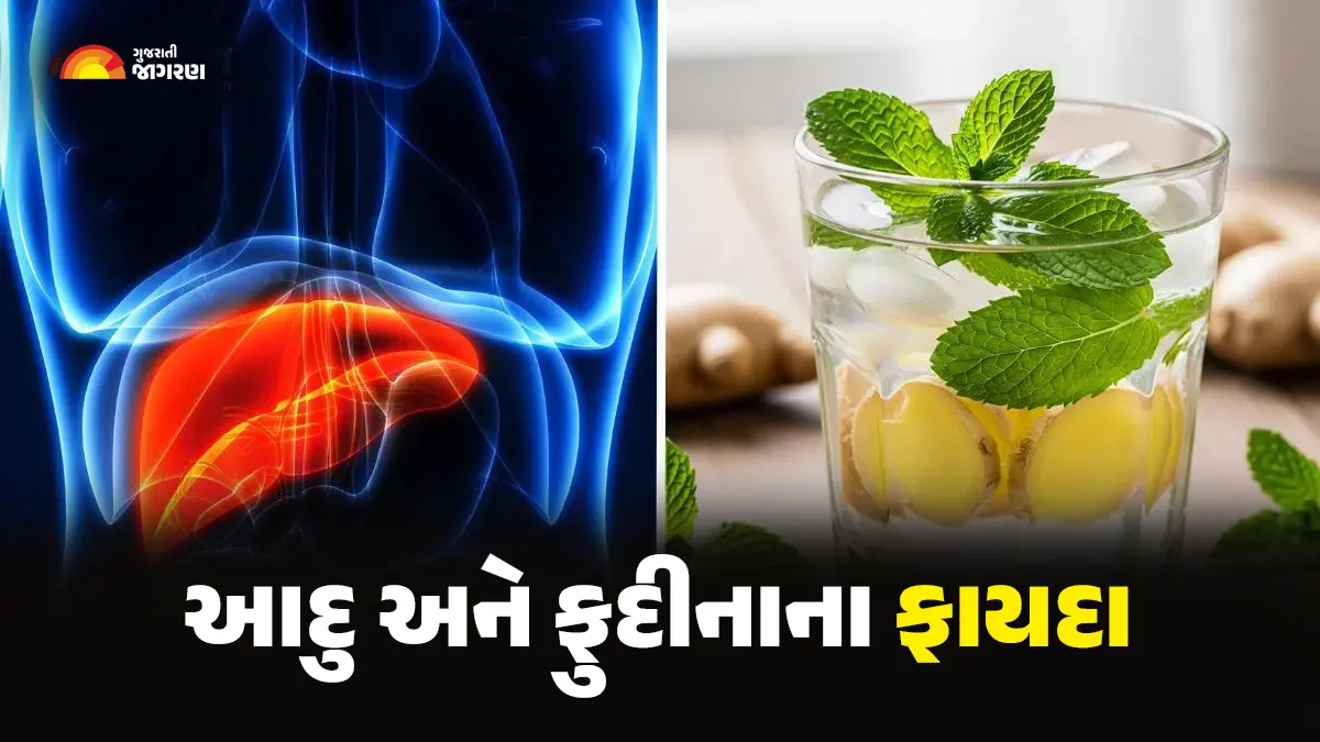 ginger-and-mint-water-will-remove-dirt-accumulated-in-the-liver-596826