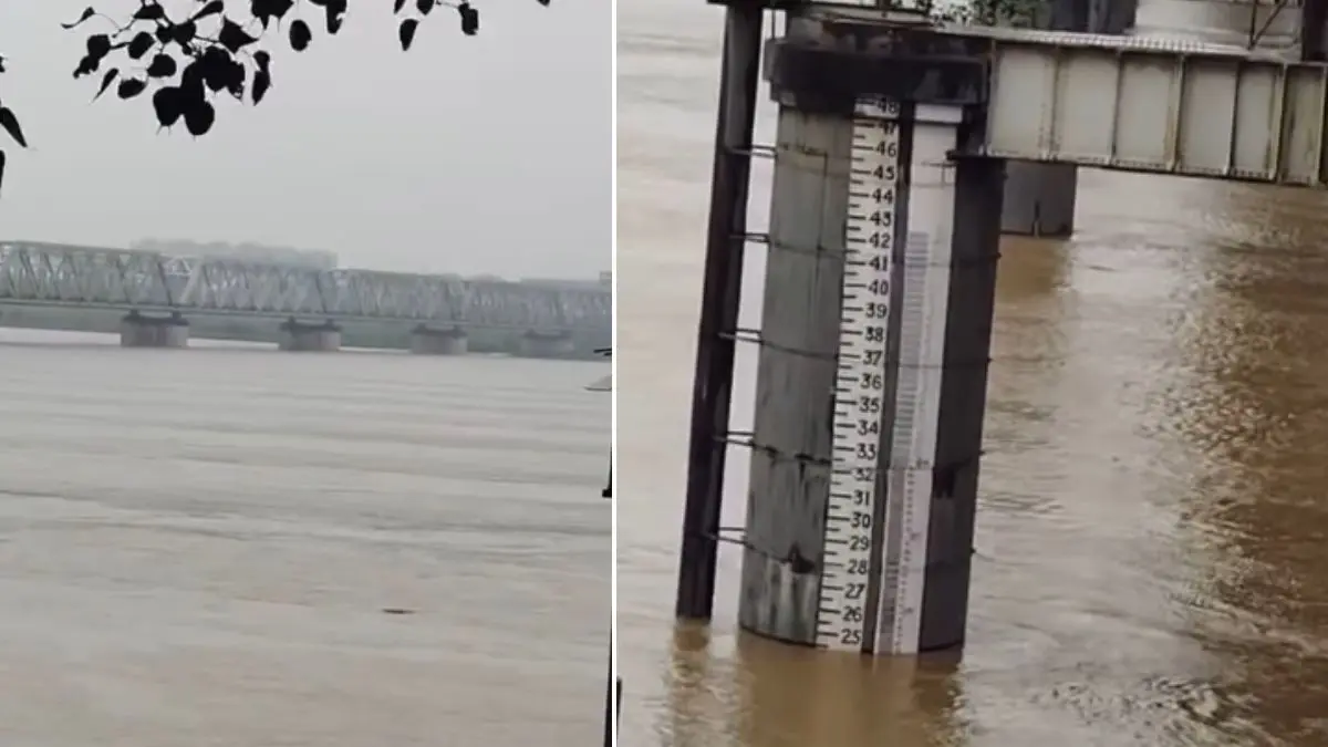 Narmada Flood Alert: નર્મદા નદીનું રૌદ્ર સ્વરૂપ! ગોલ્ડન બ્રિજ પાસે જળસપાટી 24.80 ફૂટ પહોંચતા કાંઠાના ગામો એલર્ટ, અંકલેશ્વર-સુરત હાઈવે પર વાહનવ્યવહાર ખોરવાયો