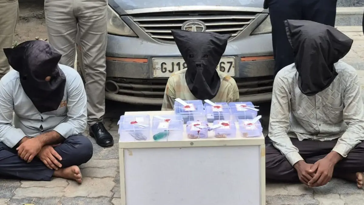 navsari-news-gang-busted-for-robbing-passengers-in-cars-gir-gadhada-robbery-murder-case-solved-596713