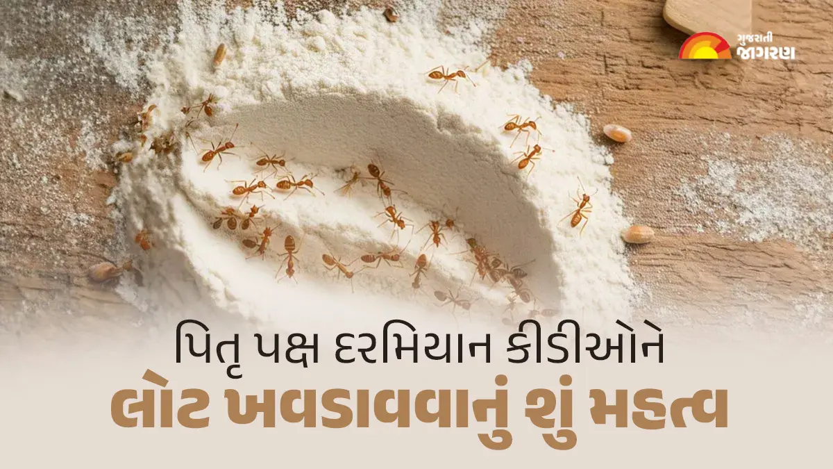 pitru-paksha-upay-what-is-the-significance-of-feeding-flour-to-ants-during-pitru-paksha-598916