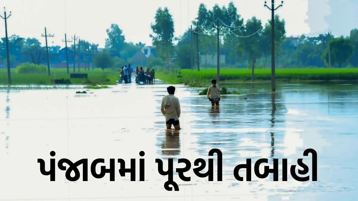 punjab-floods-2025-reporting-30-deaths-and-over-3-5-lakh-people-affected-596604