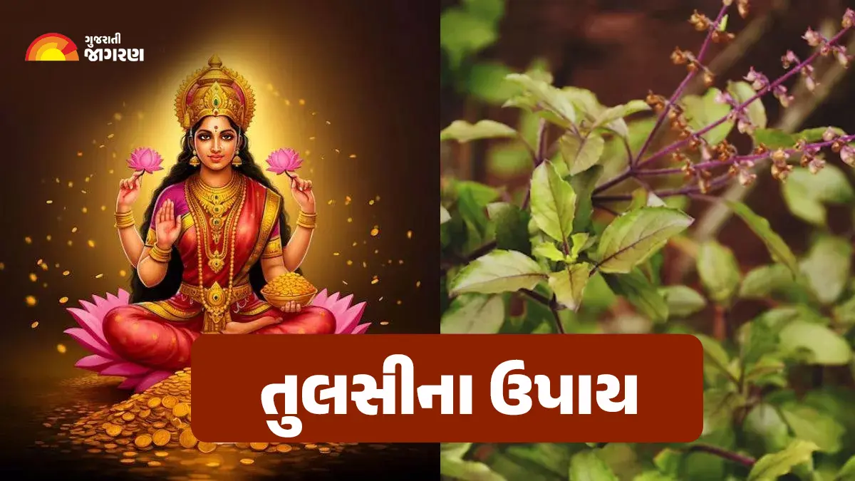 tulsi-puja-niyam-if-you-take-care-of-these-things-during-tulsi-puja-600330