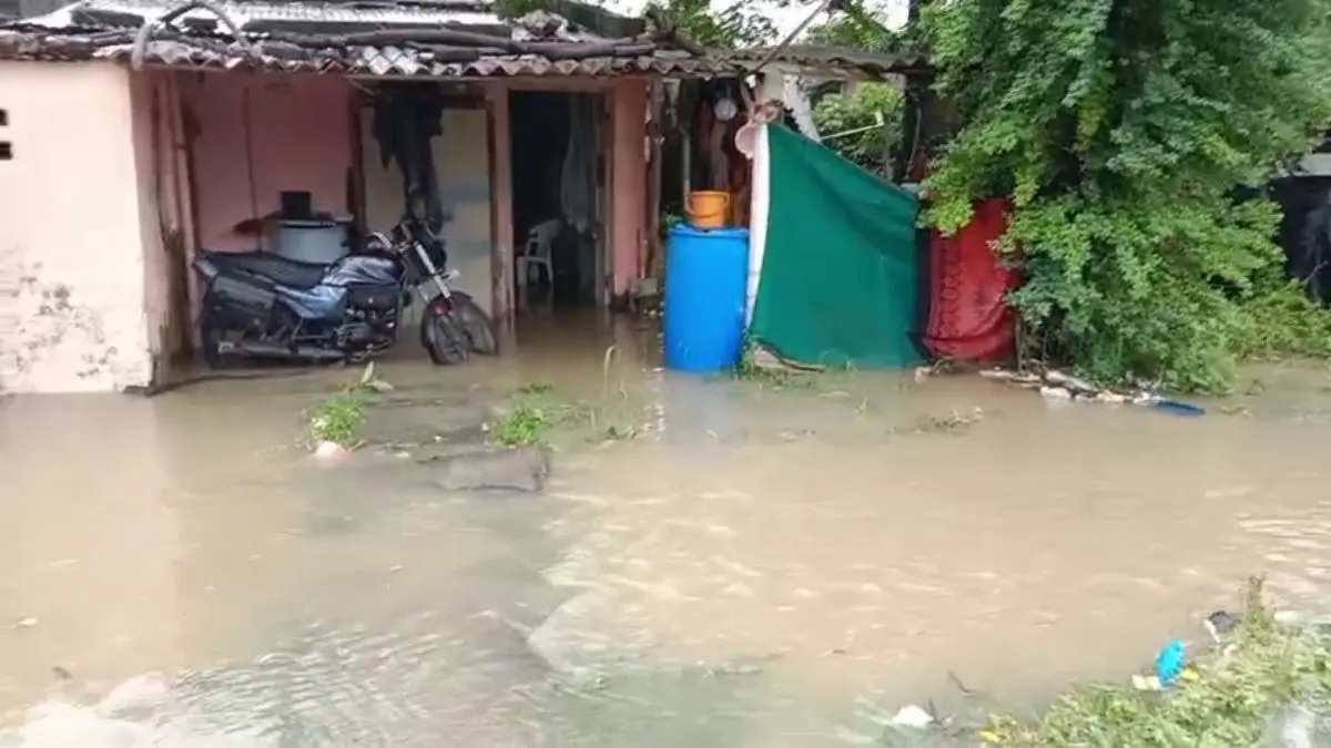 vadodara-weather-alert-orsang-dhadhar-rivers-overflow-low-lying-areas-alerted-597876