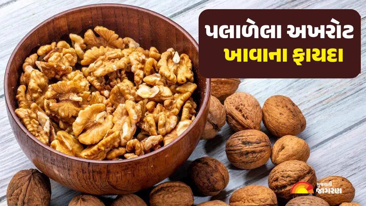 soaked-walnuts-benefits-eat-soaked-walnuts-every-day-many-diseases-will-be-away-598944