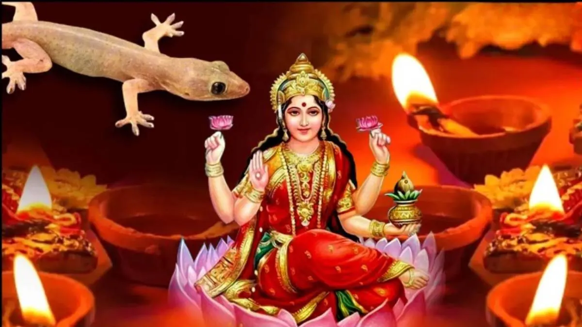 is-lizard-sighting-good-on-diwali-diwali-2025-623853