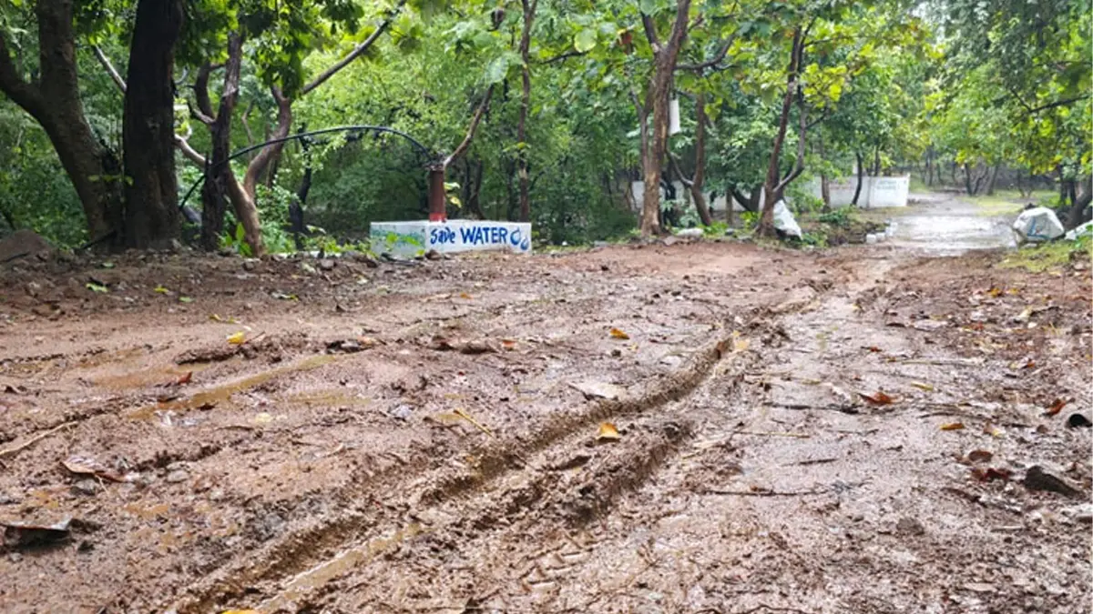 junagadh-collector-urges-pilgrims-to-delay-girnar-lili-parikrama-plans-till-october-31-629822