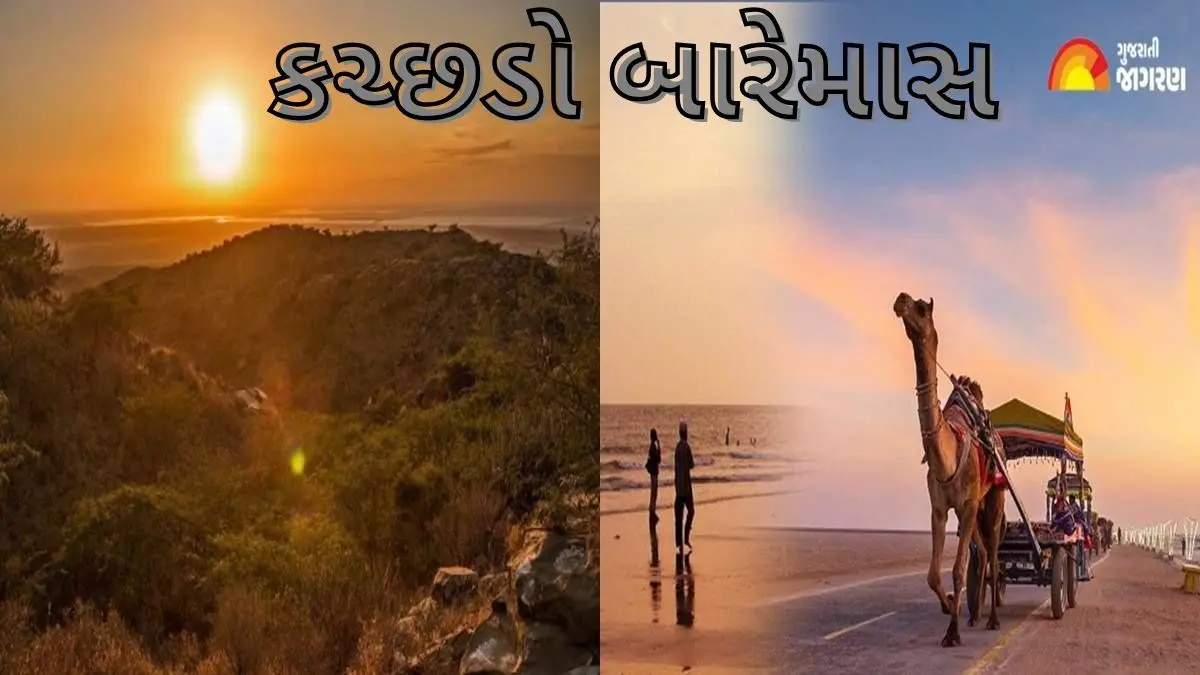 Diwali Vacation In Kutch: દિવાળી વેકેશનમાં કચ્છના આકર્ષક સ્થળો; સફેદ રણ, ધોળાવીરા, માતાનો મઢ, માંડવી બીચ, આઇના મહેલની મુલાકાત લો