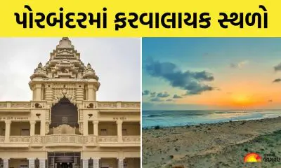 Diwali Vacation 2025: દિવાળી વેકેશનમાં પહોંચી જાવ પોરબંદર, મહાત્મા ગાંધીનું જન્મસ્થળ, જાંબુવન ગુફા, બીચ, અભયારણ્ય સહિત આ સ્થળો છે ખાસ