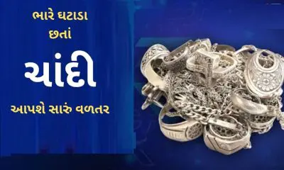 Silver Price Target: સારા સમાચાર!18 ટકા ઘટાડા બાદ પણ ચાંદી આપી શકે છે 50 ટકા વળતર, શું કહે છે નિષ્ણાત તે જાણો