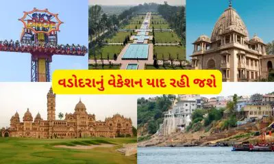 Diwali Vacation 2025: વેકેશનમાં વડોદરા જિલ્લાના જોવાલાયક સ્થળો, સ્કૂલો શરૂ થાય તે પહેલા ફરવા જવાનો પ્લાન બનાવો