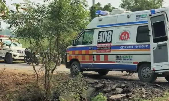 Botad: ગઢડામાં મધમાખી કરડતા યુવકનું દર્દનાક મોત, બે પુત્રી સહિત 3 સંતાનોએ પિતાની છત્રછાયા ગુમાવી