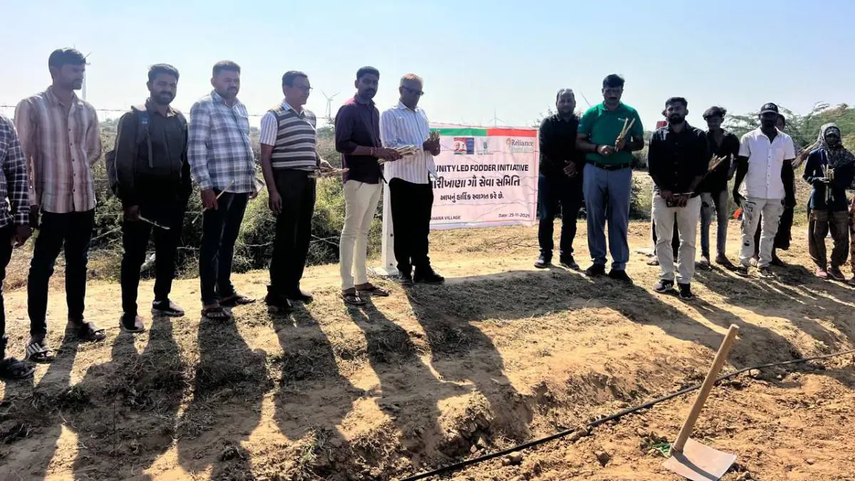 community-led-green-fodder-initiative-takes-root-in-kutch-with-reliance-foundation-support-646264