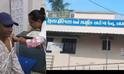 Bharuch: આમોદના કોબલા ગામમાં હડકવાગ્રસ્ત ભેંસનું મોત, દૂધ પીનારા 32 ગ્રામજનો એન્ટી રેબીસ વૅક્સિન લેવા હોસ્પિટલ દોડ્યા