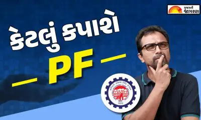 EPF Deduction New Rule: નવા લેબર કોડની અસર, શું તમારો ઇન-હેન્ડ પગાર ઘટશે? જાણો PF અને ગ્રેચ્યુઈટીના બદલાયેલા નિયમો