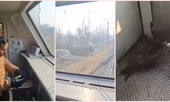 Viral Video: ચાલું ટ્રેનના સામેના કાચ સાથે બાજ અથડાયું, આગળ શું થયું જુઓ આ વીડિયોમાં…