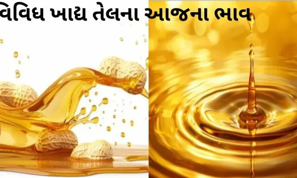 Edible Oil Prices Today:ખાદ્ય તેલના ભાવમાં સ્થિર વલણ; સીંગતેલ, કપાસીયા અને પામોલીનના આજના ભાવ જાણો