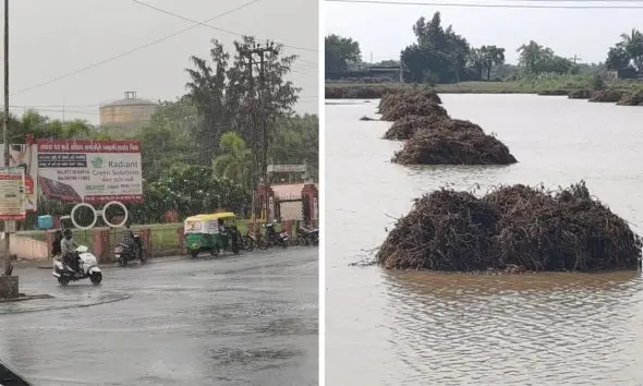 Gujarat Unseasonal Rain: છેલ્લા 24 કલાકમાં રાજ્યના 118 તાલુકામાં માવઠાનો વરસાદ, પોરબંદરમાં સૌથી વધુ 2.83 ઈંચ વરસાદ થયો