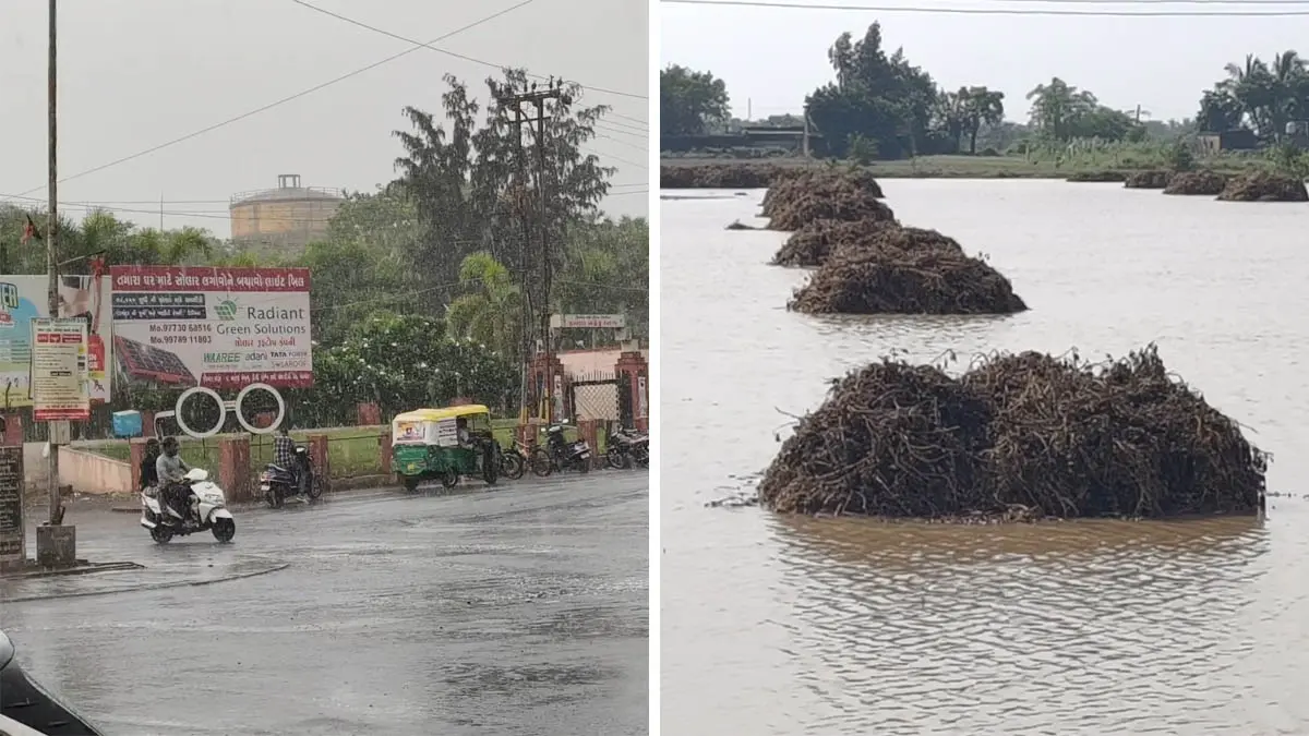Gujarat Unseasonal Rain: છેલ્લા 24 કલાકમાં રાજ્યના 118 તાલુકામાં માવઠાનો વરસાદ, પોરબંદરમાં સૌથી વધુ 2.83 ઈંચ વરસાદ થયો