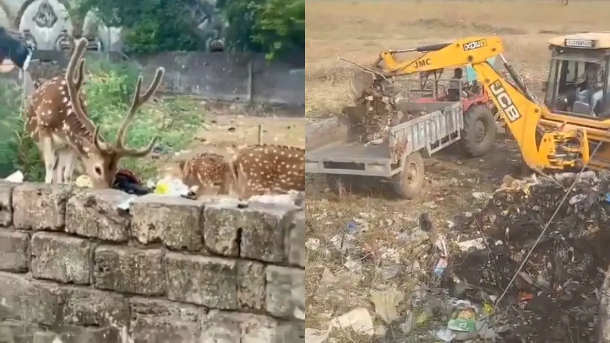 junagadh-news-forest-department-removed-garbage-with-the-help-of-jcb-near-gir-forest-647393