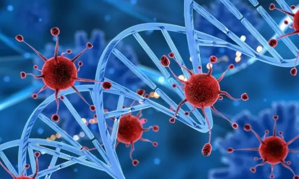 Risk Of Cancer Reduce: આ 6 સૂચનોનું દૈનિક જીવનમાં પાલન કરો, કેન્સરનું જોખમ બિલકુલ ઘટી જશે