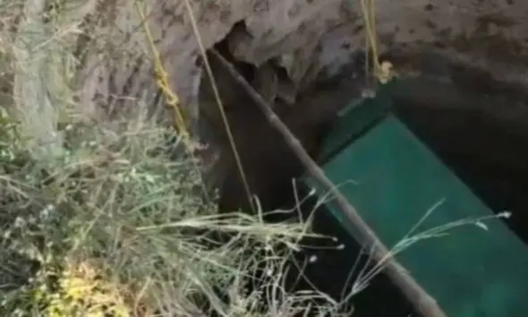 Dahod: ધાનપુરમાં કૂવામાં ખાબકેલા દીપડાનું દિલધડક રેસ્ક્યું, વન વિભાગનો બાહોશ કર્મચારી પાંજરામાં બેસીને પકડવા માટે અંદર ઉતર્યો