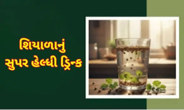 Coriander Water: આજથી જ મોંઘીદાટ દવાઓ છોડો, અનેક ગંભીર રોગોનો રામબાણ ઈલાજ છે ધાણાનું પાણી; ફાયદા જાણીને ચોંકશો તમે
