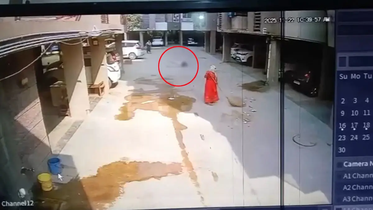 Ahmedabad Suicide: ચાંદખેડામાં મહિલાની ત્રીજા માળેથી મોતની છલાંગ, ઘટના CCTVમાં કેદ, બે વર્ષના માસૂમે માતા ગુમાવી