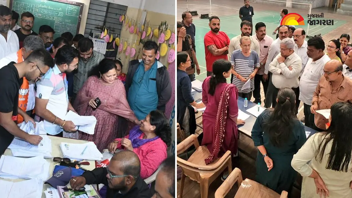 ગુજરાત SIR અપડેટ: રાજ્યમાં કેવી ચાલે છે કામગીરી? મંત્રીઓએ સમીક્ષા કરી, BLO અને નાગરિકોને મળ્યા, કાર્યકર્તાઓને આપી સૂચના