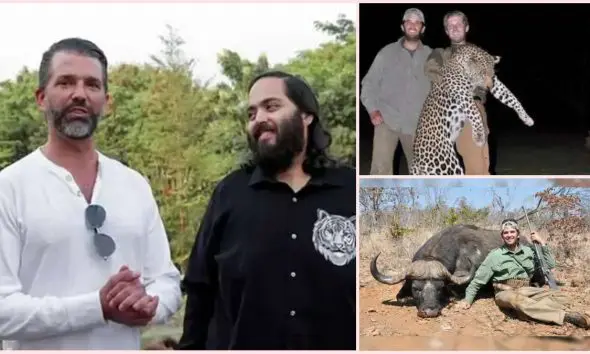 Vantara: ટ્રમ્પ જુનિયરે વનતારા જોયા પછી કહ્યું કે,- 'મારા કરતા આ પ્રાણીઓનું જીવન સારુ છે'