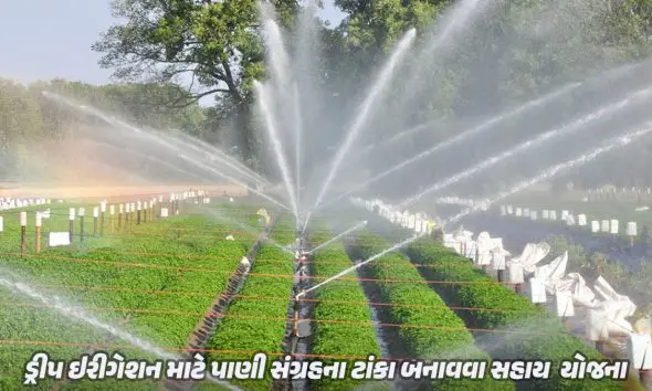 મારી યોજનાઃ શું તમારે ખેતીમાં ડ્રીપ ઈરીગેશન માટે બનાવવો છે પાણી સંગ્રહનો ટાંકો, સરકાર આપે છે આટલી સહાય