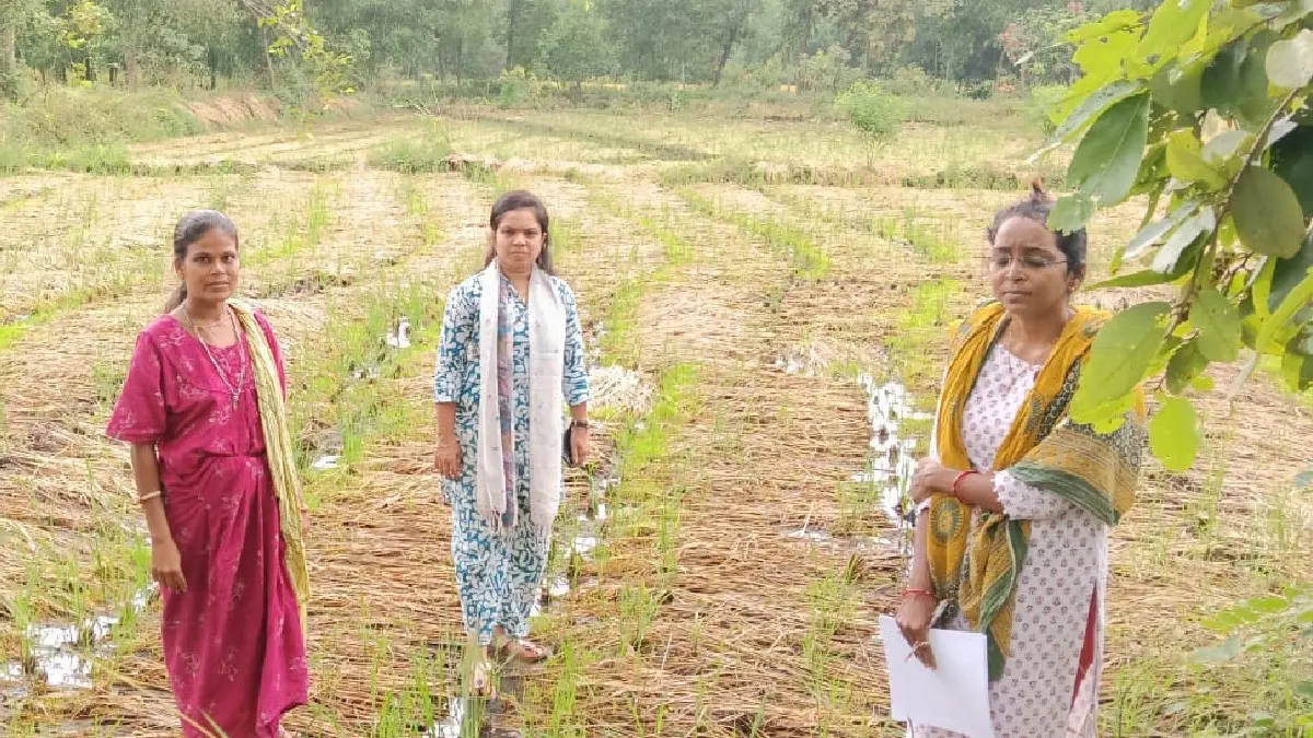 કમોસમી વરસાદથી ઉભા પાકને નુકસાનઃ નવસારીમાં 138 ટીમો દ્વારા 384 ગામોમાં સર્વેની કામગીરી હાથ ધરાઈ