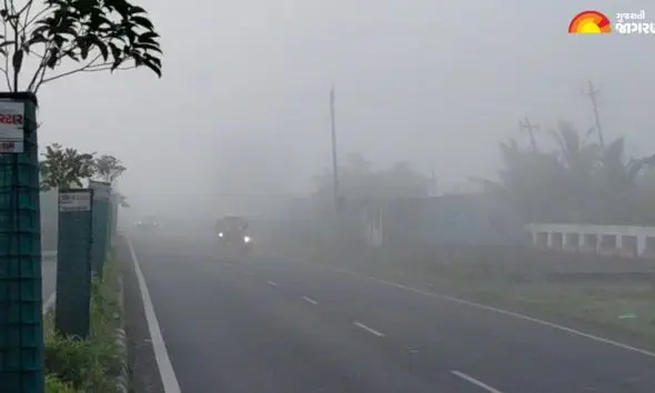 દક્ષિણ ગુજરાતમાં ધુમ્મસનું સામ્રાજ્ય: નવસારી-સુરતમાં વહેલી સવારે વિઝિબિલિટી ઘટી, વાહનવ્યવહારને અસર