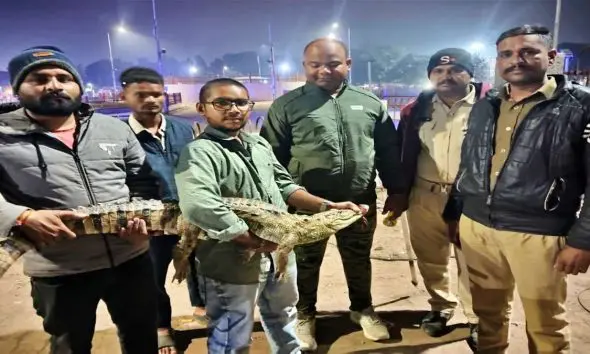 અંબાજી તળાવના વોકિંગ ઝોનમાં મગરની લટારથી હડકંપ મચ્યો, જીવ રક્ષક સંસ્થાએ રેસ્ક્યુ કર્યું